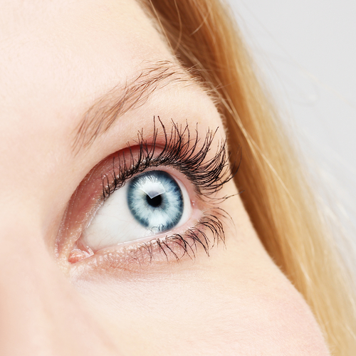 Close up portrait of a left blue eye