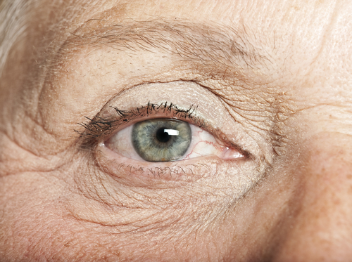 Close up of an Elderly Persons Eye.