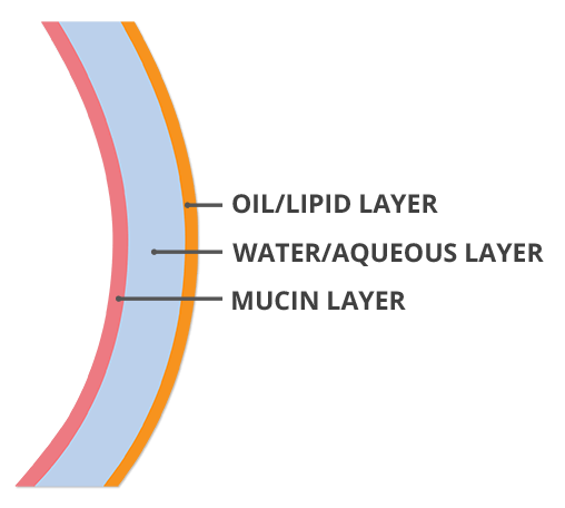 Tears Diagram