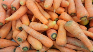 Pile of carrots.