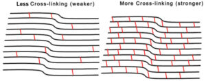 Less vs More Crosslinking Diagram