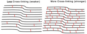 Less Cross-linking vs More Cross-linking